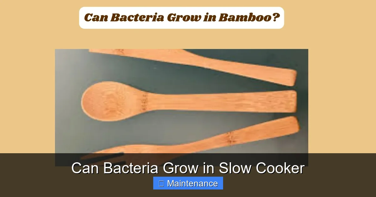 Can Bacteria Grow in Slow Cooker