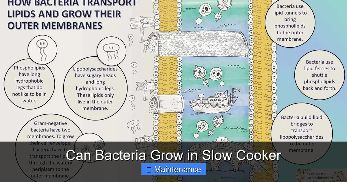 Can Bacteria Grow in Slow Cooker