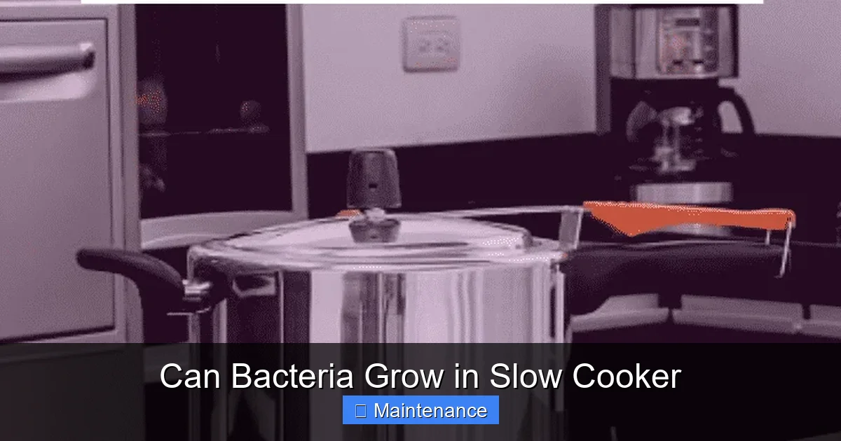 Can Bacteria Grow in Slow Cooker