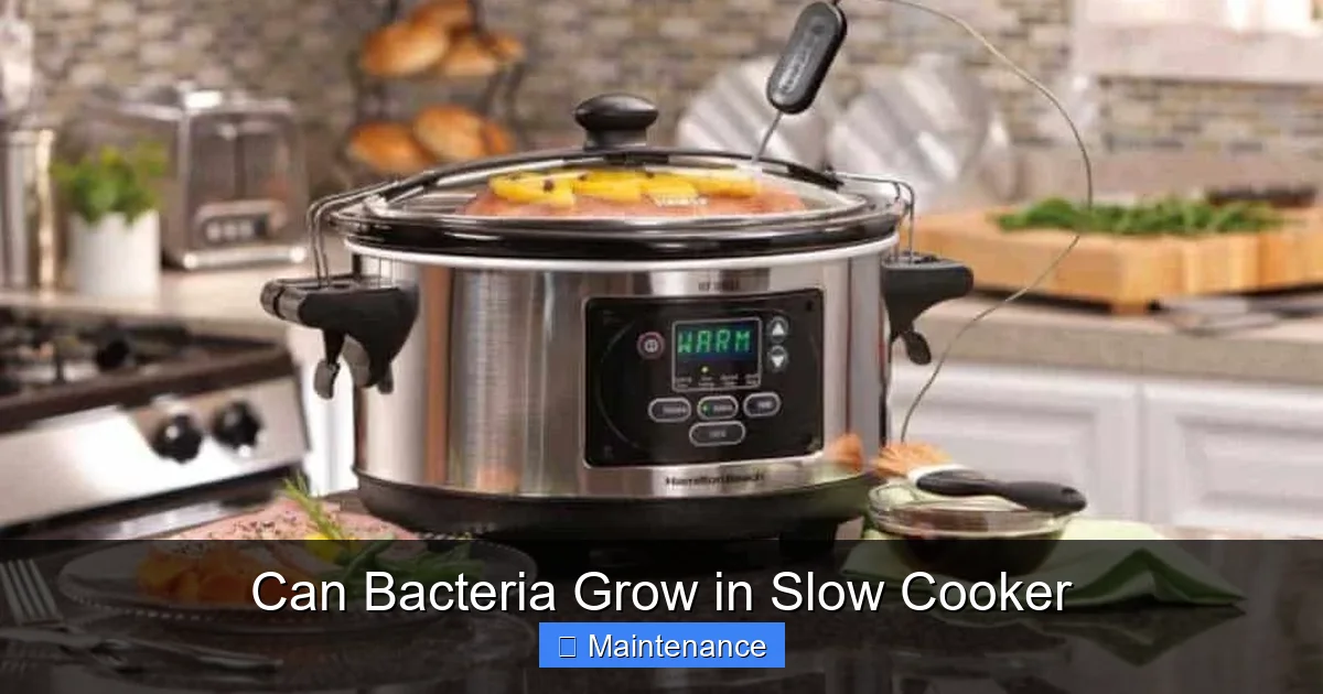 Can Bacteria Grow in Slow Cooker