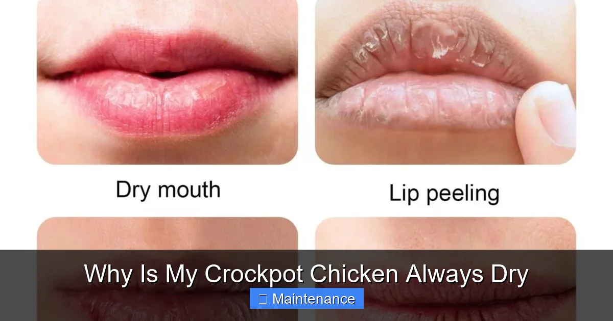 Why Is My Crockpot Chicken Always Dry